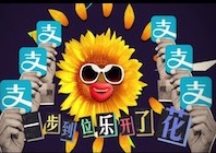  支付宝品牌小程序 · 病毒视频+原创歌曲